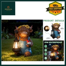 Charming solar highland - highland, cow