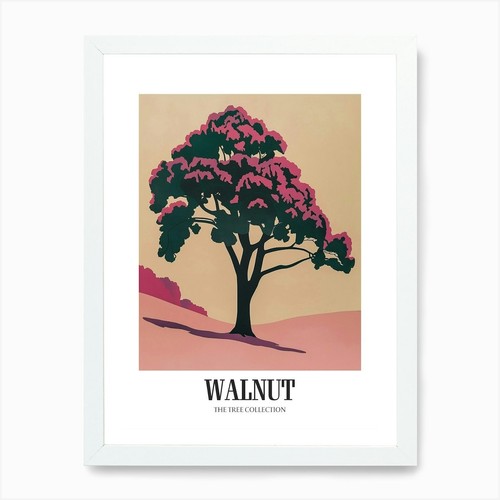 Walnut tree colourful - tree,