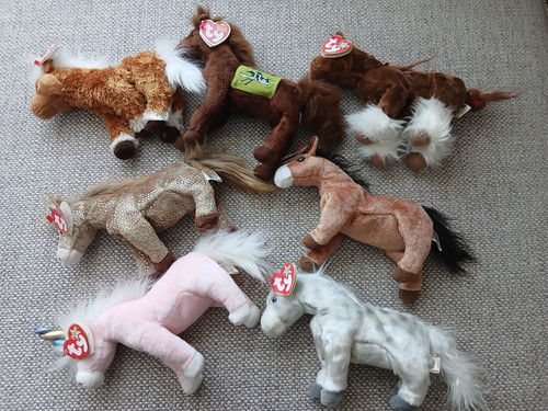 Beanie pony bundle - beanie,