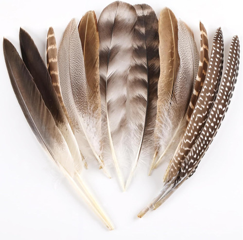 Natural pheasant feathers - natural,