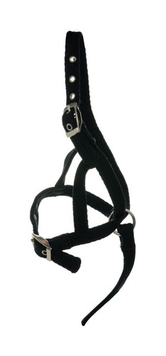 Foal slip headcollar halter - foal,