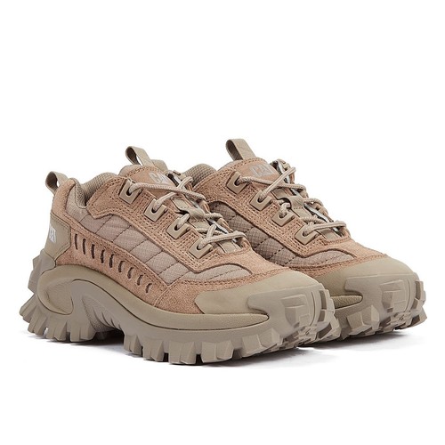 Caterpillar intruder fungi - caterpillar,