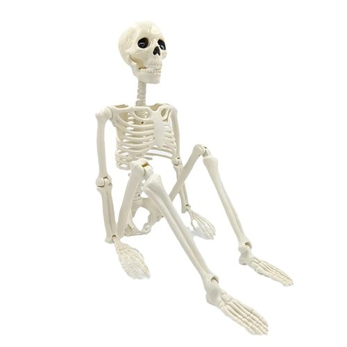Posable halloween skeleton - halloween,