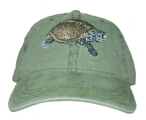 Diamondback terrapin - diamondback,