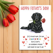 Black Flat Coated Retriever