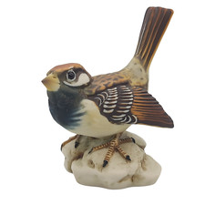 V. Bindi Sparrow Bird