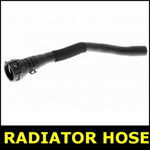 Radiator hose lower - lower, right