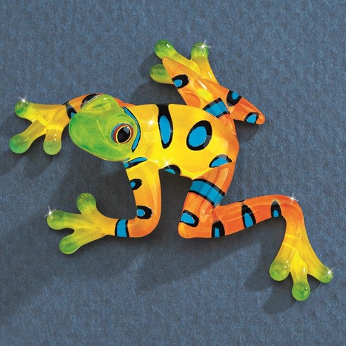 Rain forest frog glass - rain,