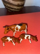 Retired Guernsey Cow With