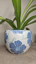 Vintage Plant Pot Park Rose