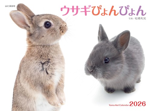 Rabbit jump calendar 2026 wall - jump,