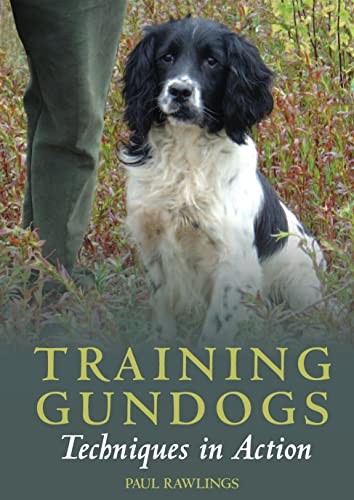 Training gundogs techniques - training, gundogs:
