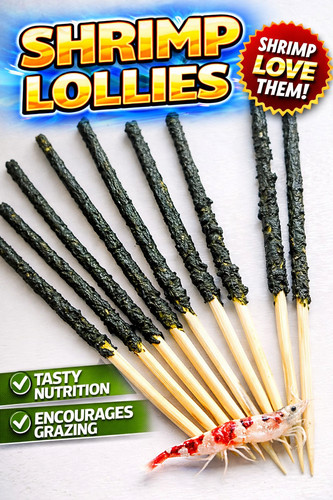 12x shrimp lollies - 12x,