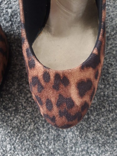 Limited collection animal - collection,