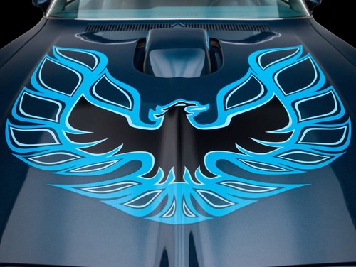 1974 pontiac firebird trans - firebird,