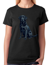 Black Labrador Retriever Dog