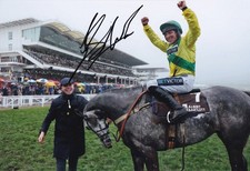 Horse Racing - Gavin Sheehan -