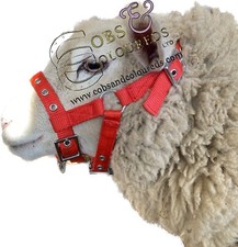 SHEEP ALPACA GOAT HALTER WITH