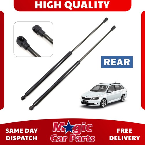 Rear tailgate gas struts - tailgate,