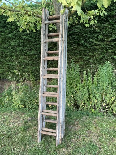 Vintage wooden ladders 6 - 4),