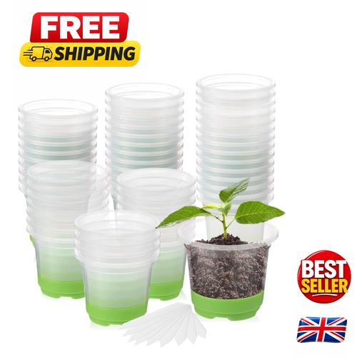 24pcs clear plant pots with - pots,