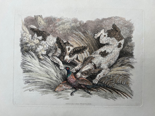 1809 antique print - 1809, dogs