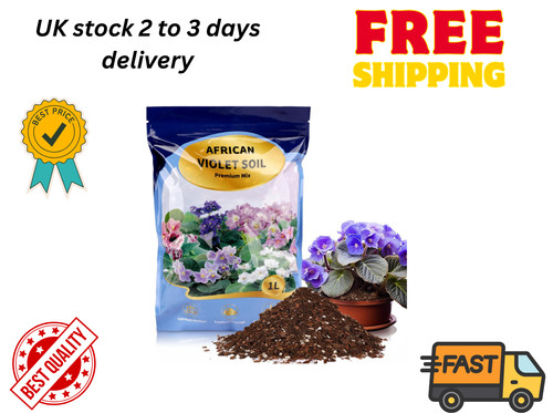 African violet potting soil - violet,