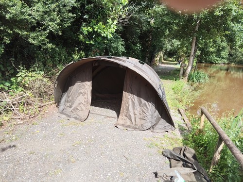 Avid carp ascent person - carp,