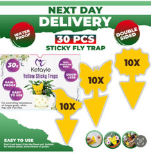 Pcs fruit fly - pcs, double