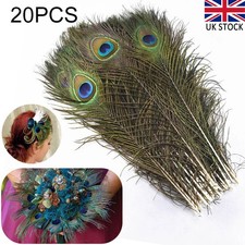 20X Natural Peacock Feathers