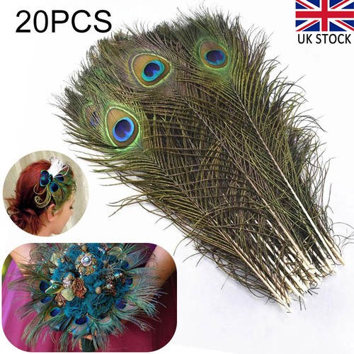 20x natural peacock feathers - natural,