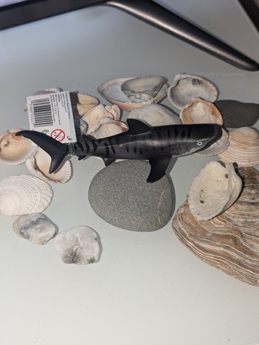 New sea life tiger - life, shark