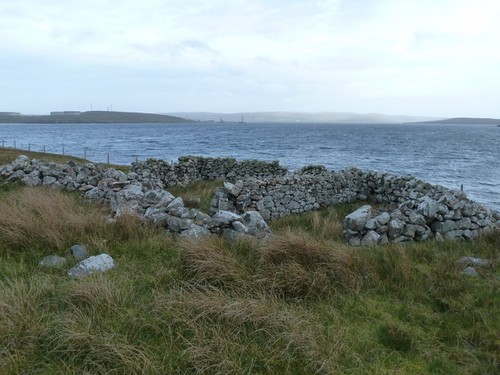 Photo gluss isle - photo, sheep