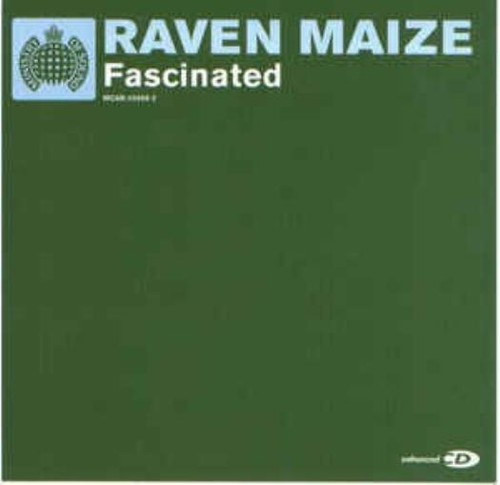 Raven maize fascinated - raven,