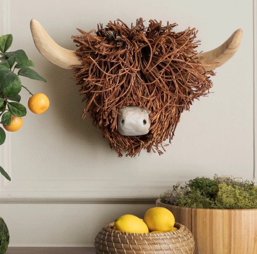 Voyage maison highland cow - highland,