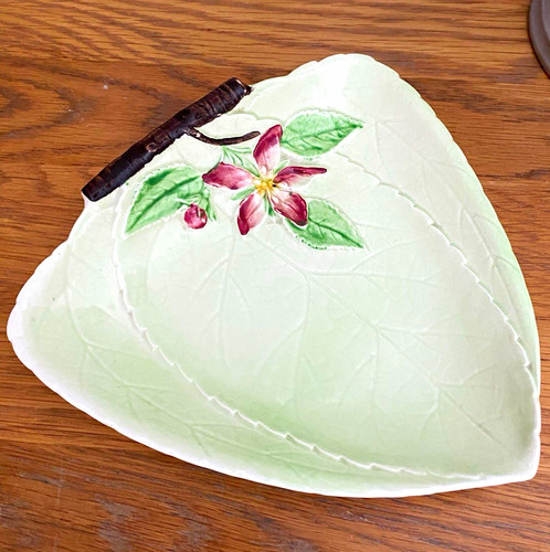Carlton ware hand painted - hand,