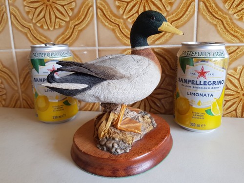 Wildtrack mallard signed - wildtrack,