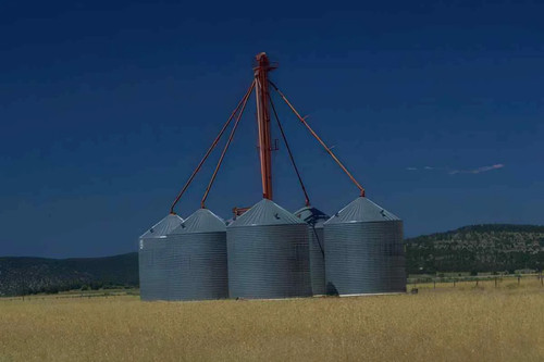 Grain silos wheat photo - wheat,