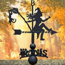 Black Iron Witch and Cat