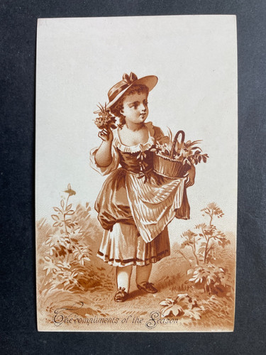 Victorian greeting card - victorian,