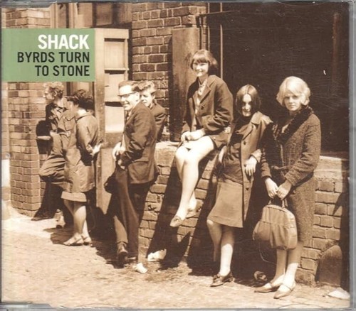 Shack byrds turn - shack,