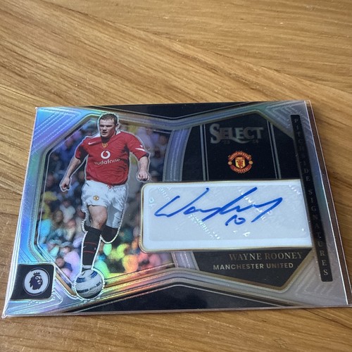 Panini select wayne - select,