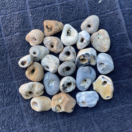 Twenty natural hag stones - twenty,