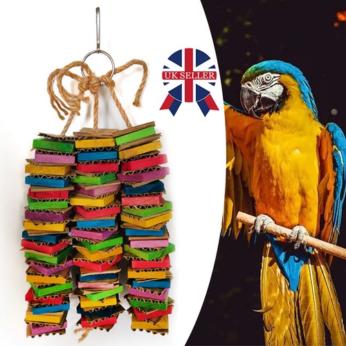 Bird parrot toy - bird,