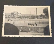 WW2 WWII Nazi German Photo Bullfighting Bull Fighter Rodeo Ring