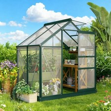 Greenhouse 6' x 4' for
