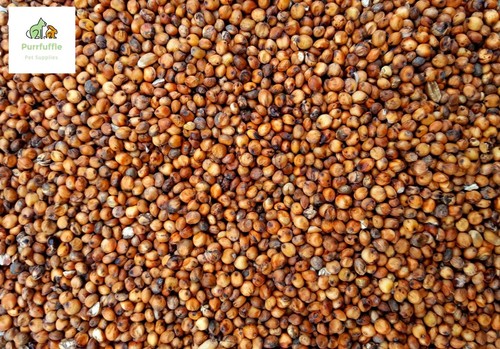 20kg french red dari seed - seed, wild
