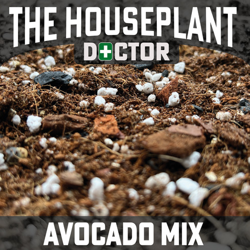 Avocado plant repotting mix - plant,
