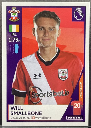 Panini premier league 2021 - premier,