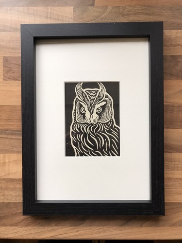 Long eared owl framed - eared, owl’-